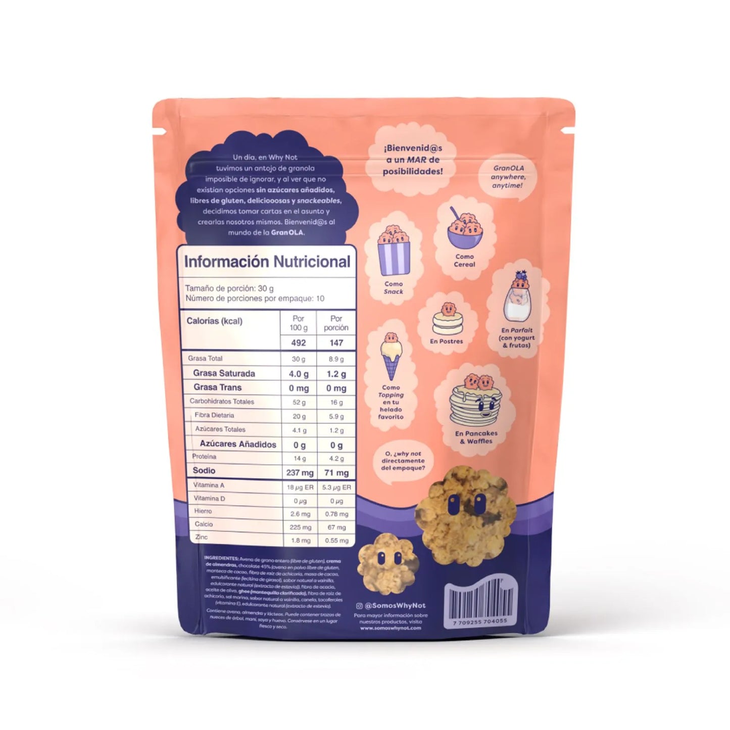 Granola Chocolate Chip Cookie 300g - ParaNice