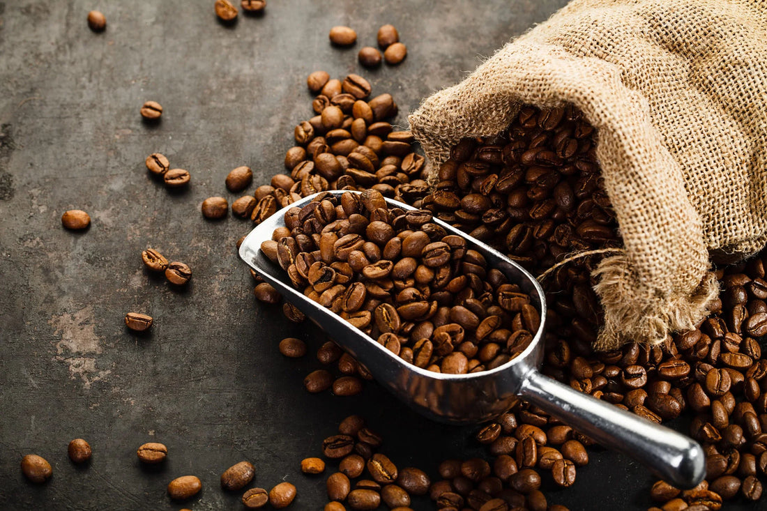 Café de especialidad: qué significa, cómo elegirlo y grano vs. molido