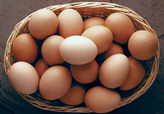 Proteína de clara de huevo: beneficios, cómo tomarla y por qué elegirla