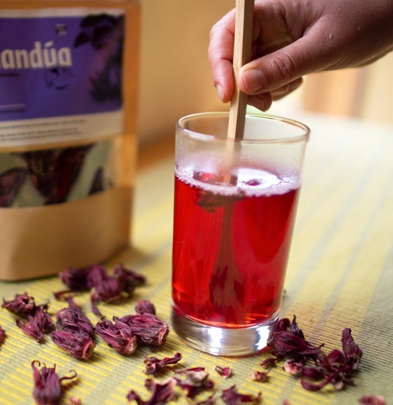 Flor de Jamaica 50g - Tamandúa
